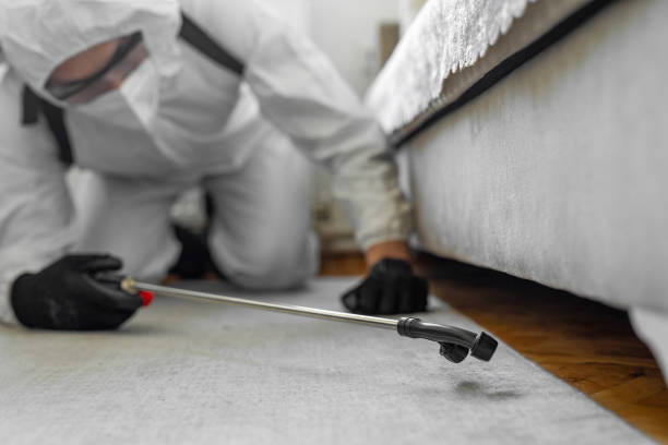 Professional Bed Bug Control technician working in Greenville, IN