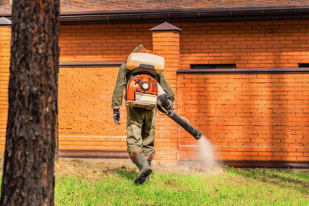 Trusted Cockroach Control service in Greenville, IN - Nex Pest Control